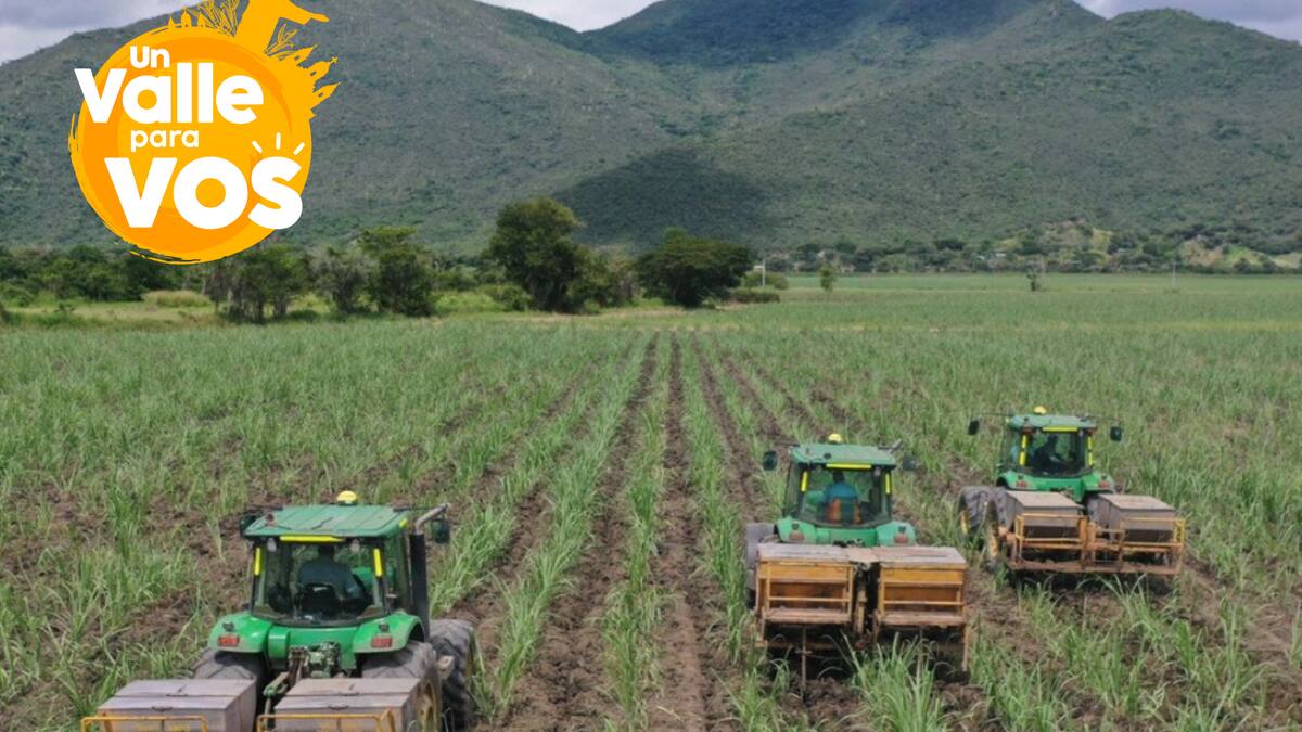 En ‘un Valle para vos’, Riopaila Castilla: más que azúcar, son compromiso por Colombia
