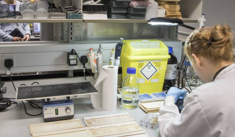 Uno de los temas que se verificará, es el precio anterior y precio regulado de año 2017