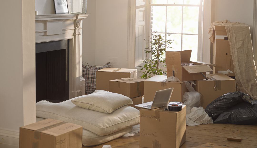 Imagen de referencia