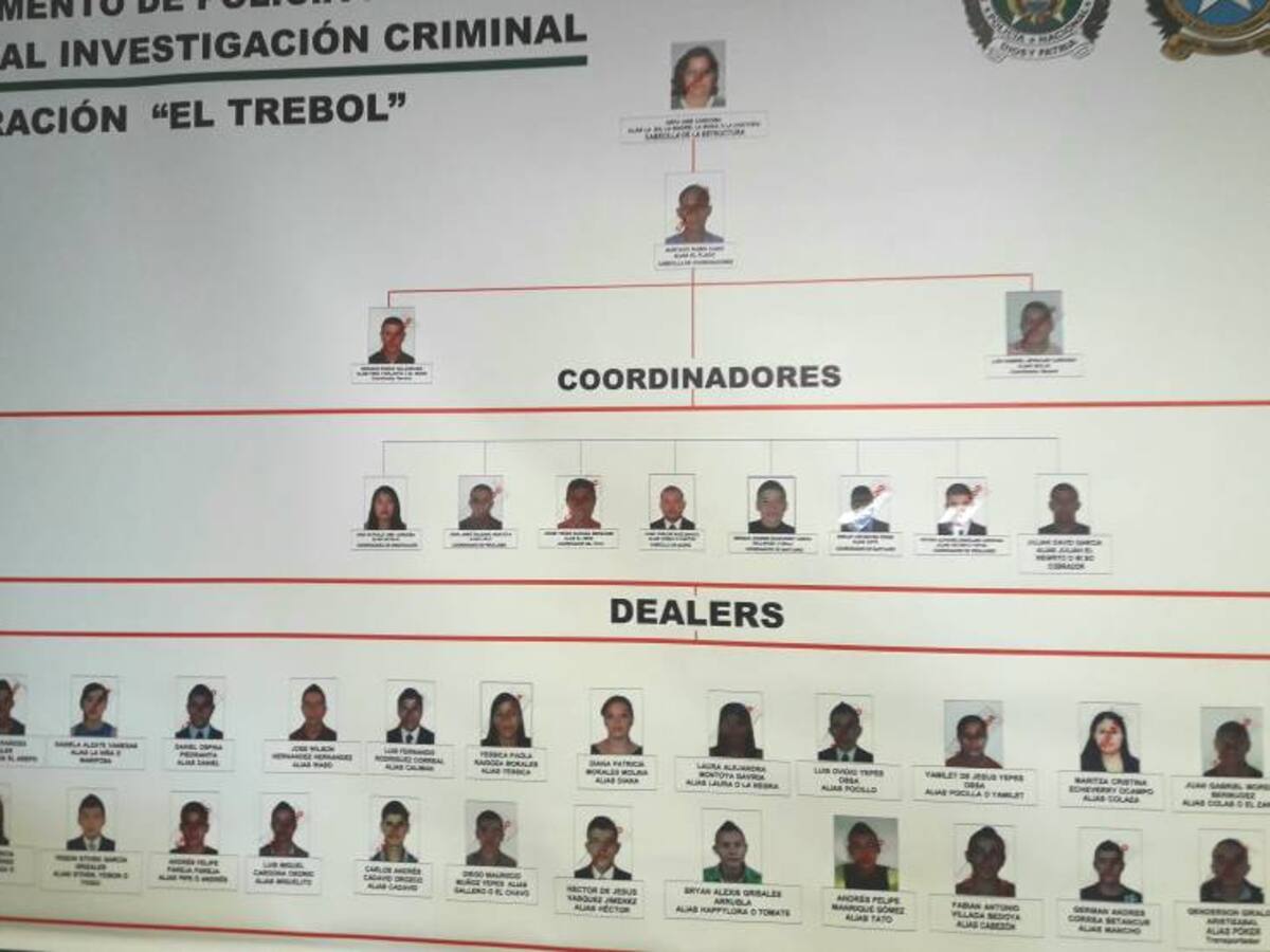 Fue desarticulada la banda que vendía los alucinógenos en Santuario