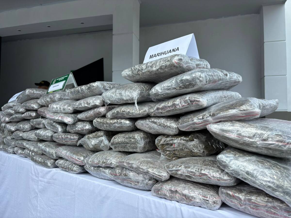Policía de Cúcuta incautó 112 panelas de marihuana