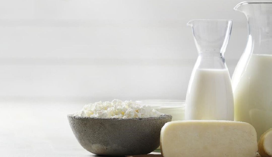 Leche y derivados
