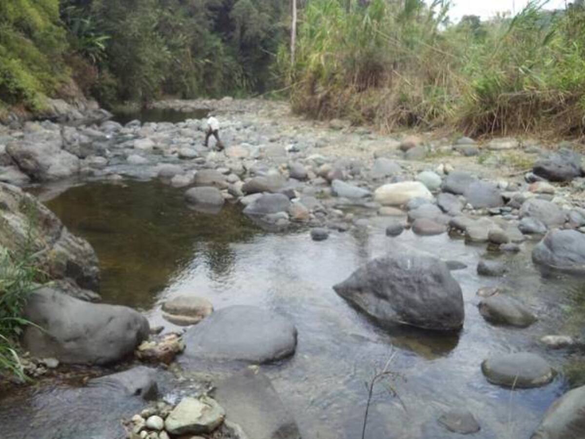 El río Quindío se está muriendo: advierten ambientalistas