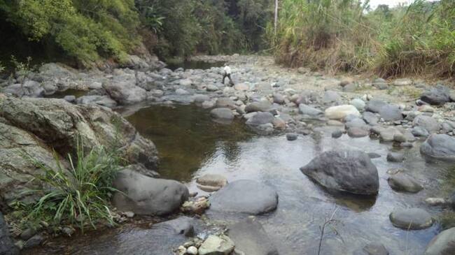 El río Quindío es la principal fuente hídrica del departamento