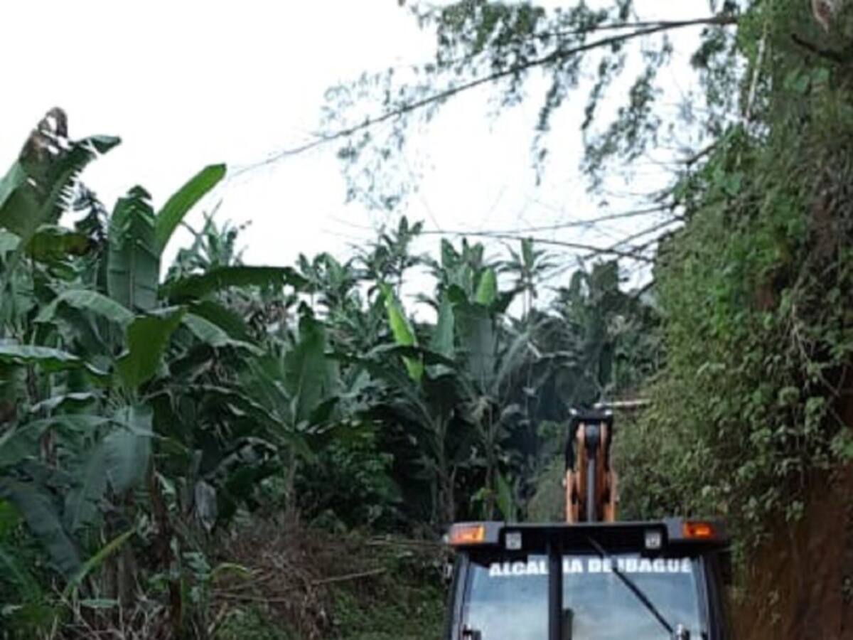 Varias vías de la zona rural de Ibagué se encuentran colapsadas