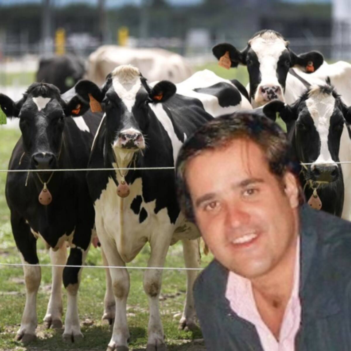 Condena de 6 años para el empresario que estafó a la élite bogotana con una pirámide ganadera