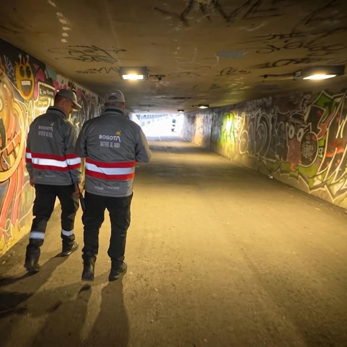 Desarticulan banda dedicada al robo de bicicletas en la 68 con 63: gestores del orden fueron clave