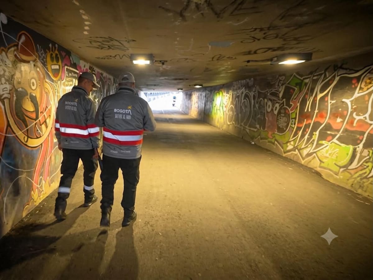 Desarticulan banda dedicada al robo de bicicletas en la 68 con 63: gestores del orden fueron clave