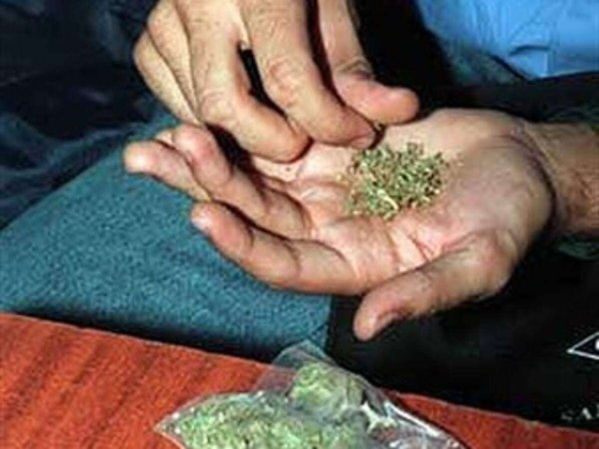 Tres estados norteamericanos buscan legalizar la marihuana