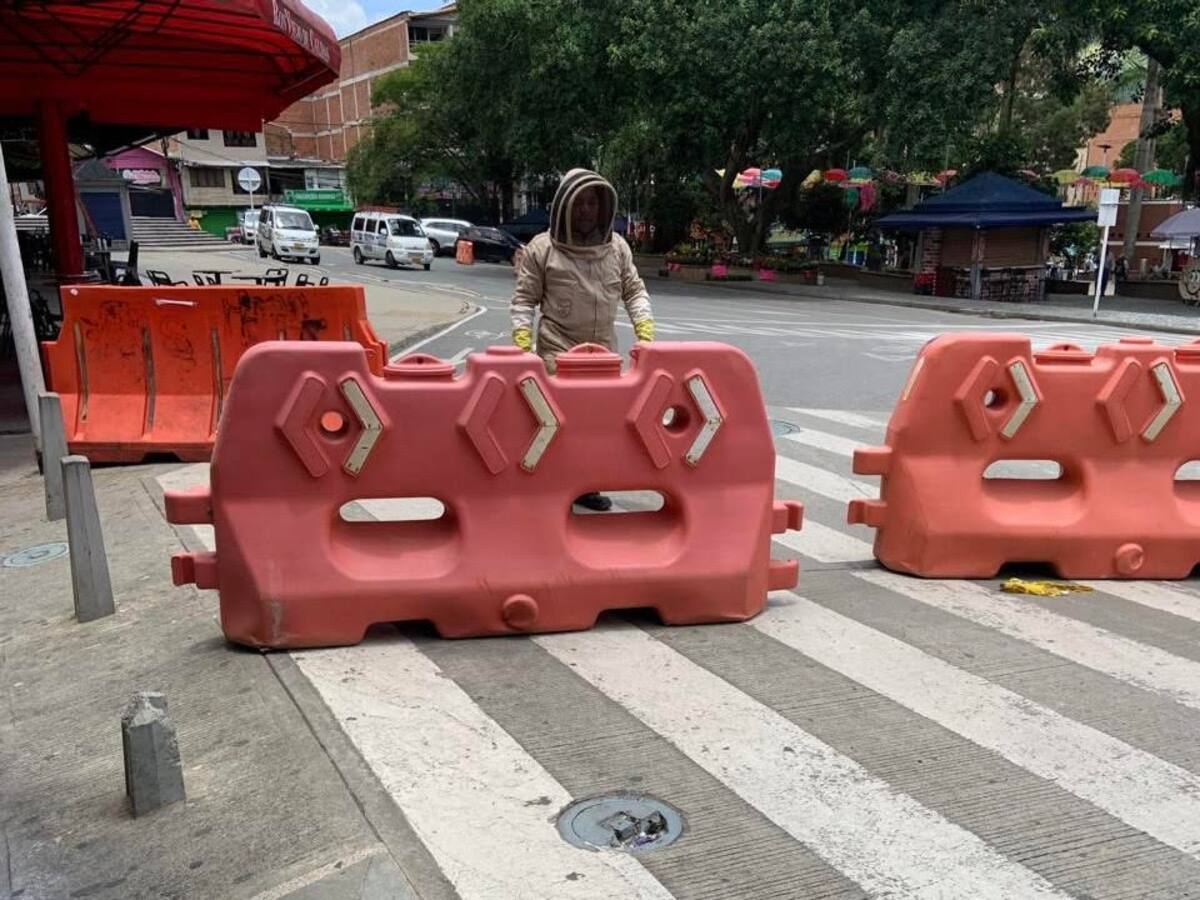 Más de 30 personas afectadas dejó un ataque de abejas en Barbosa, Antioquia