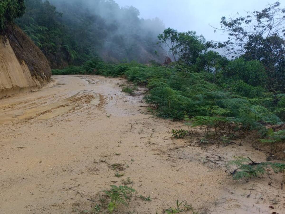 Apareció otro contrato firmado por Sneyder Pinilla ¿Por qué genera controversia?