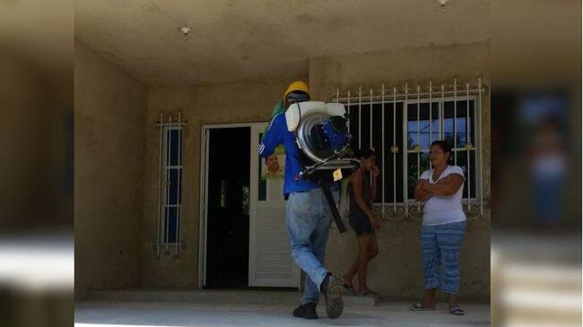 Es una de las medidas adoptadas por las autoridades de salud para erradicar los criaderos de mosquitos.