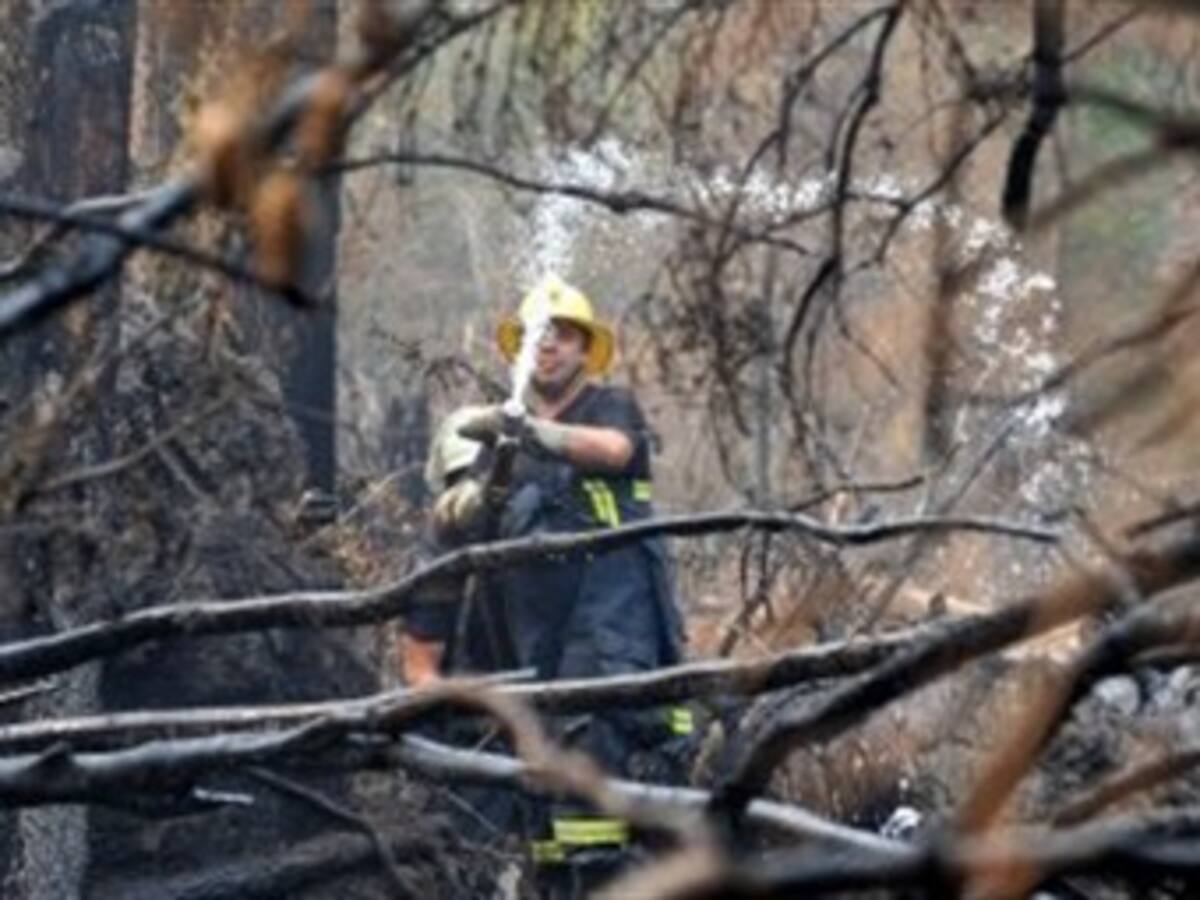 Emergencia por los incendios en la región rusa de Arjánguelsk
