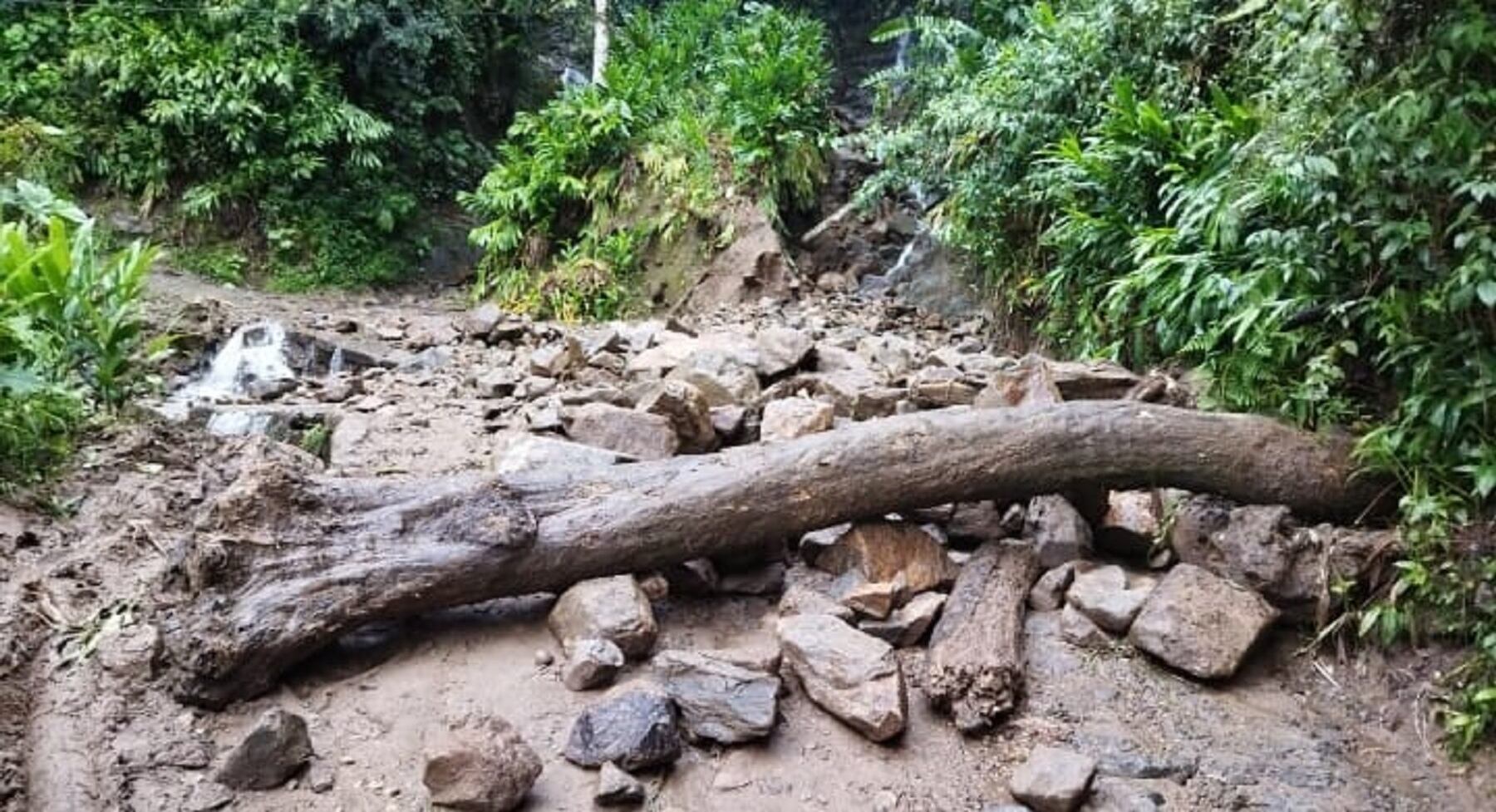 Foto: referencia/Caracol Radio