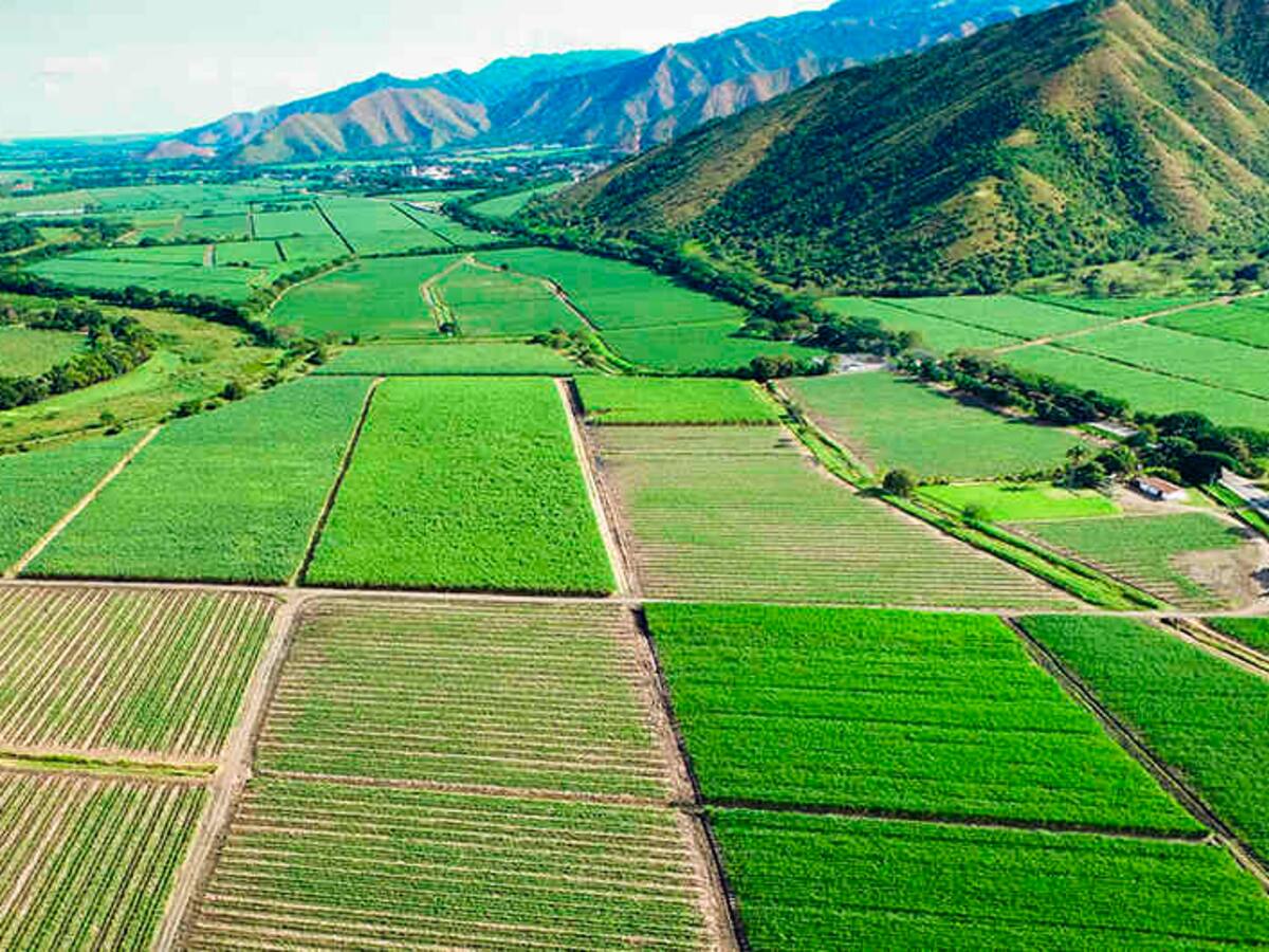 Un Valle que se Atreve es capaz de hacer que su economía crezca