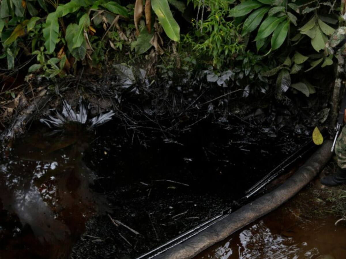 "Sin paz agraria no habrá paz ambiental": Rodrigo Botero