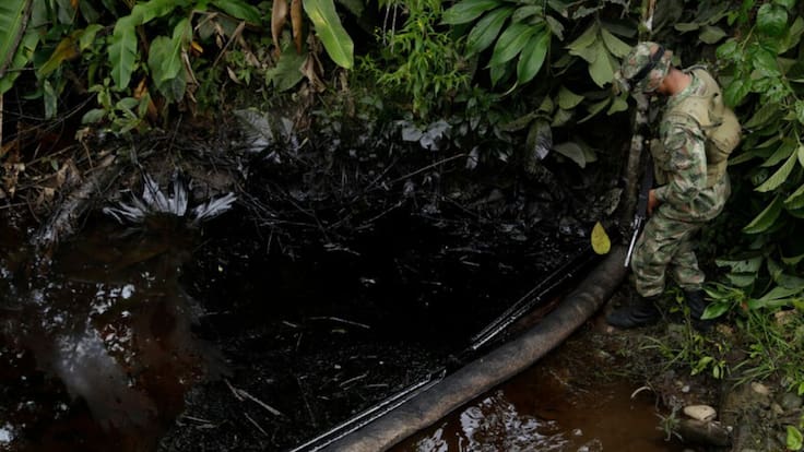 "Sin paz agraria no habrá paz ambiental": Rodrigo Botero