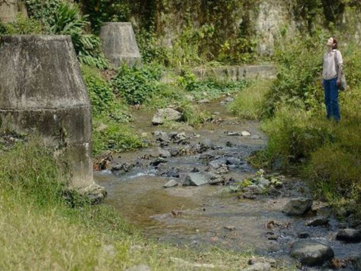Pijao, Quindío presentación de la película "Memoria" al aire libre