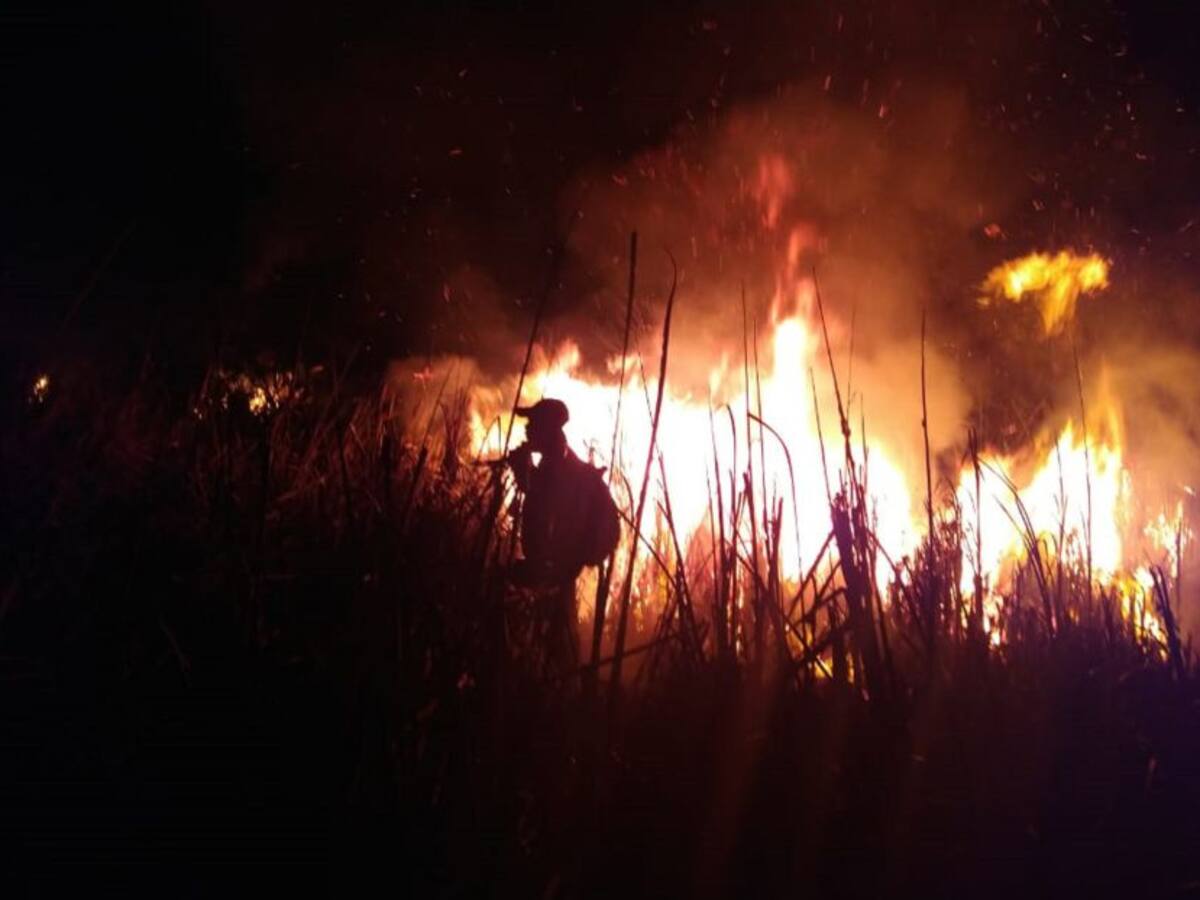 Solicitan apoyo aéreo para atender incendio en la Ciénaga Grande
