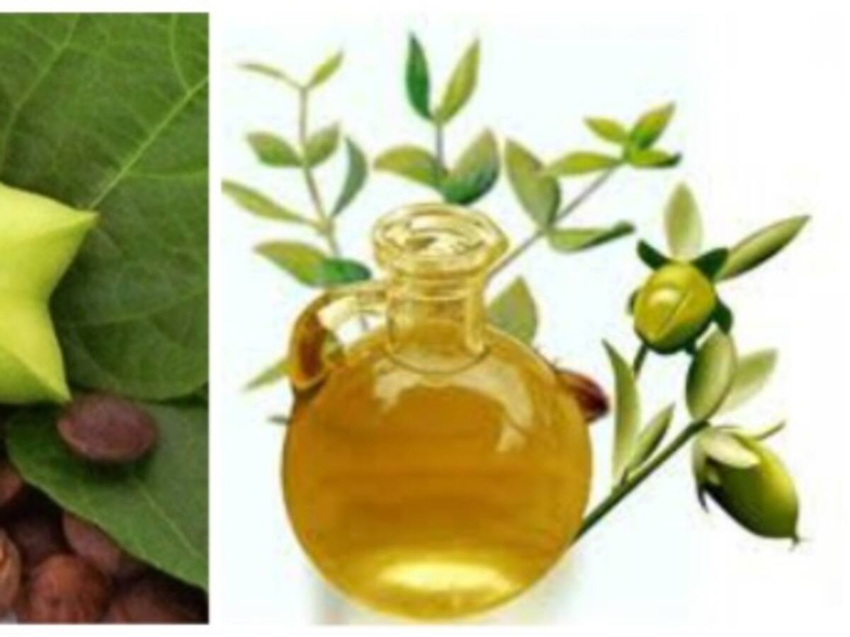 En la U. Icesi crean aceite que no engorda