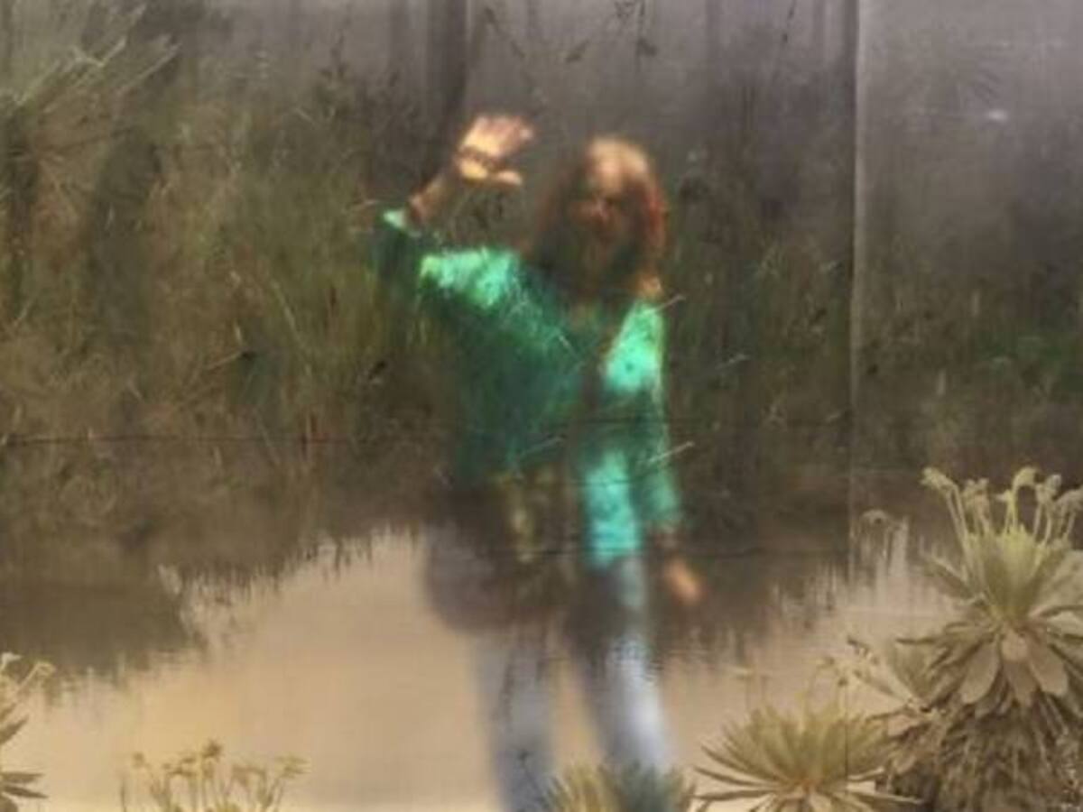 Paramus Vitalis, el mural efímero que no se puede perder en Medellín