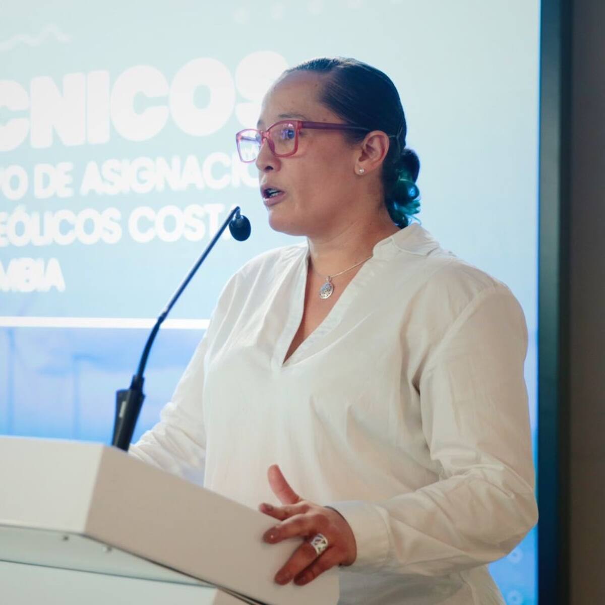 Exviceministra de Energía a declarar sobre presuntas irregularidades en informe