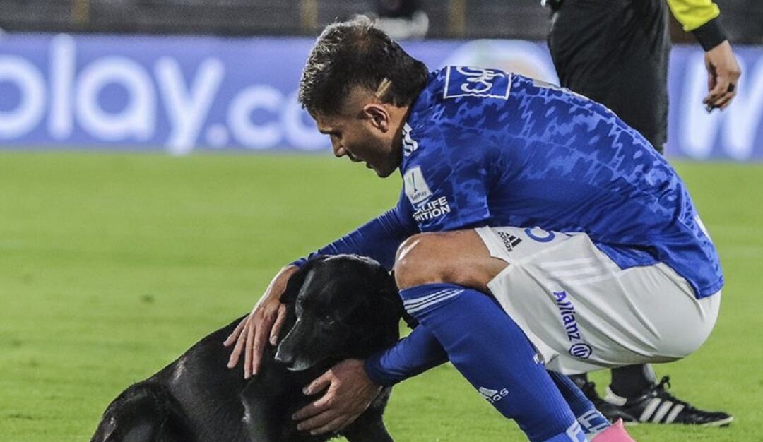 Larry Vásquez intenta calmar al perro que ingresó al campo de juego de El Campín en el duelo Millonarios-Cali.