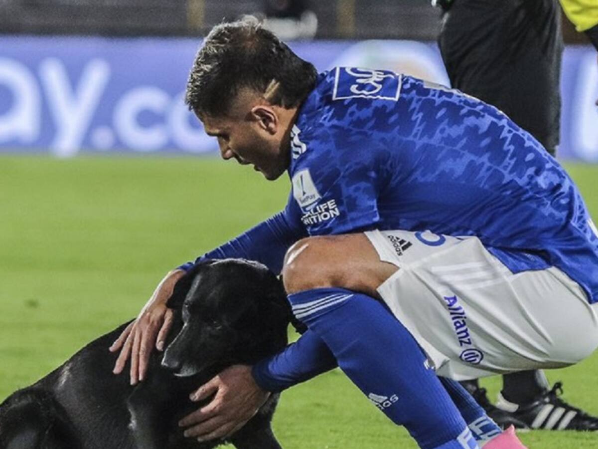 Millonarios, sancionado con 5 millones por ingreso de un perro ante el Cali
