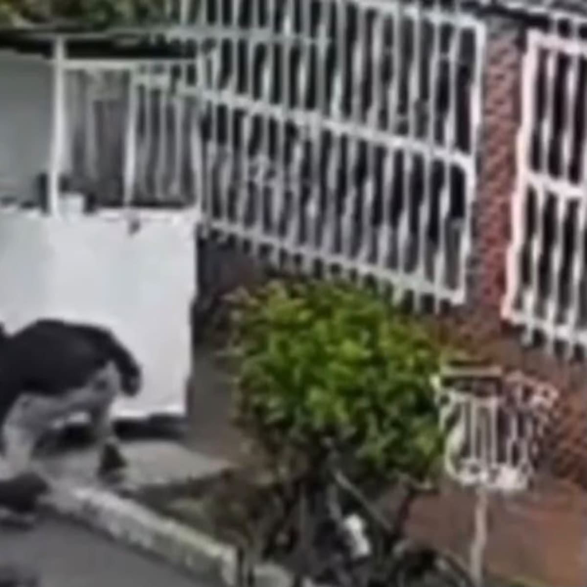 Capturado el hombre que agredió brutalmente a un vigilante en Modelia, confirmó el alcalde Galán