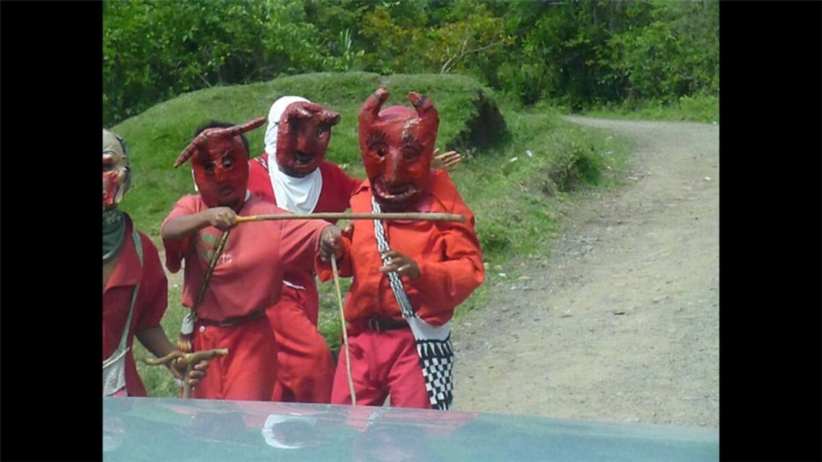 Y seguimos con carnavales, esta vez en Venezuela.   Isabel Yañez  comenta: "Arlequín... bella máscara, primer día del desfile, durante el carnaval de Puerto Cabello".