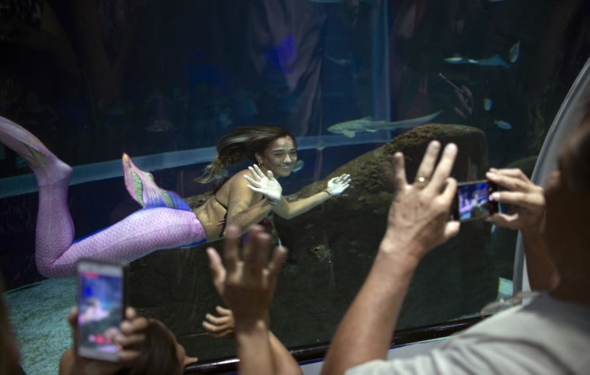 Esta sirena rubia y menuda se sumerge conteniendo la respiración por un par de minutos, contando más de veinte inmersiones por exhibición.