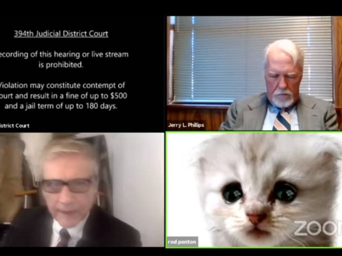 ¿Cómo copiar al juez que se hizo viral y tener el filtro de gato en zoom?