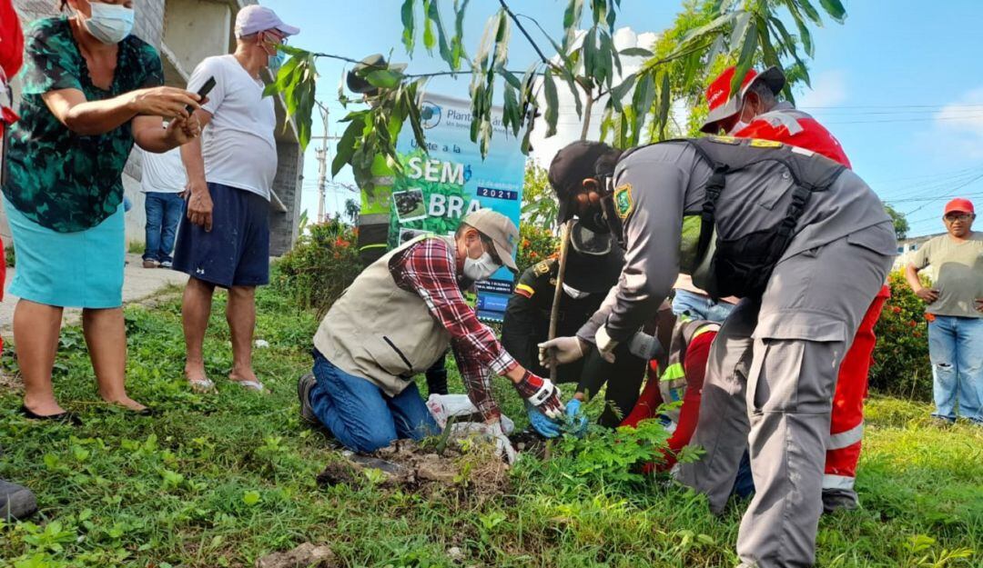 El EPA Cartagena ha liderado la siembra de 7.734 nuevos árboles
