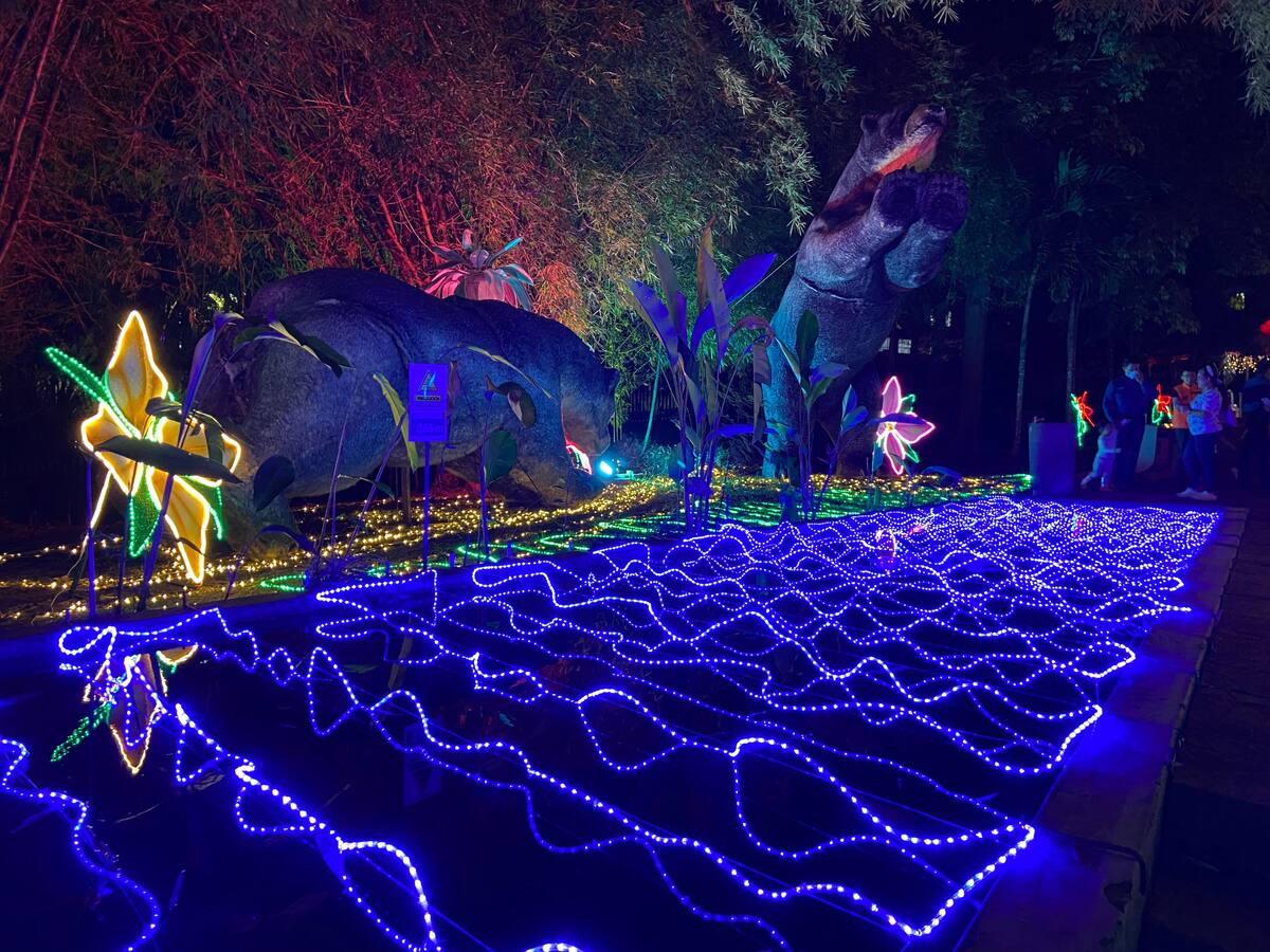 Se enciende el alumbrado navideño en el Parque del Agua