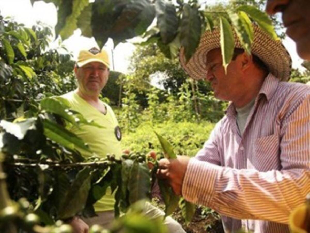 Si precios siguen subiendo, se suspenderán ayudas del gobierno: Fedecafé