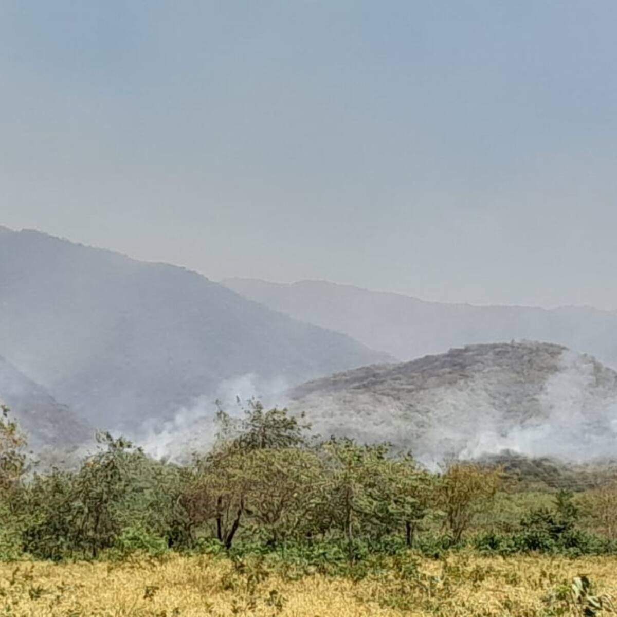 Incendios forestales en el Huila: Causas humanas y graves consecuencias