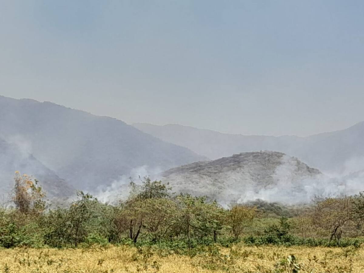 Incendios forestales en el Huila: Causas humanas y graves consecuencias
