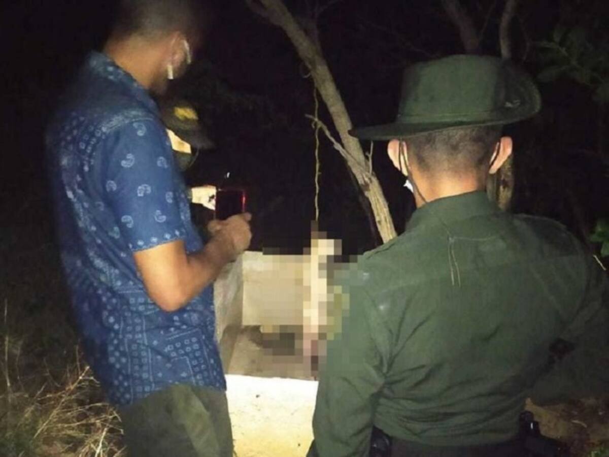 Tres perros han sido asesinados en Puerto Colombia en una semana
