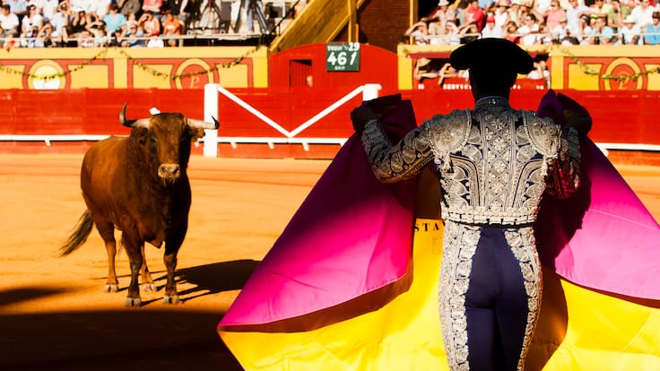 Deben modificar cosas para que el toro no sufra: experto tras prohibición gradual de corridas