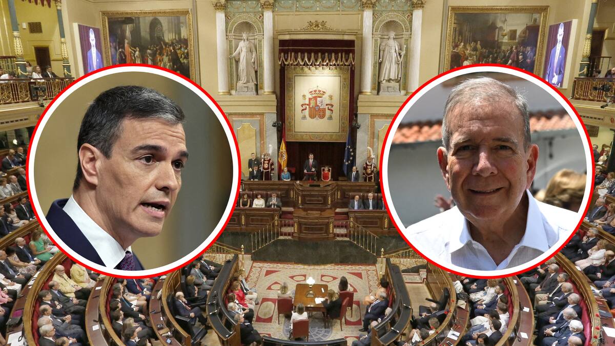 Congreso español pide al gobierno reconocer a Edmundo González como presidente electo