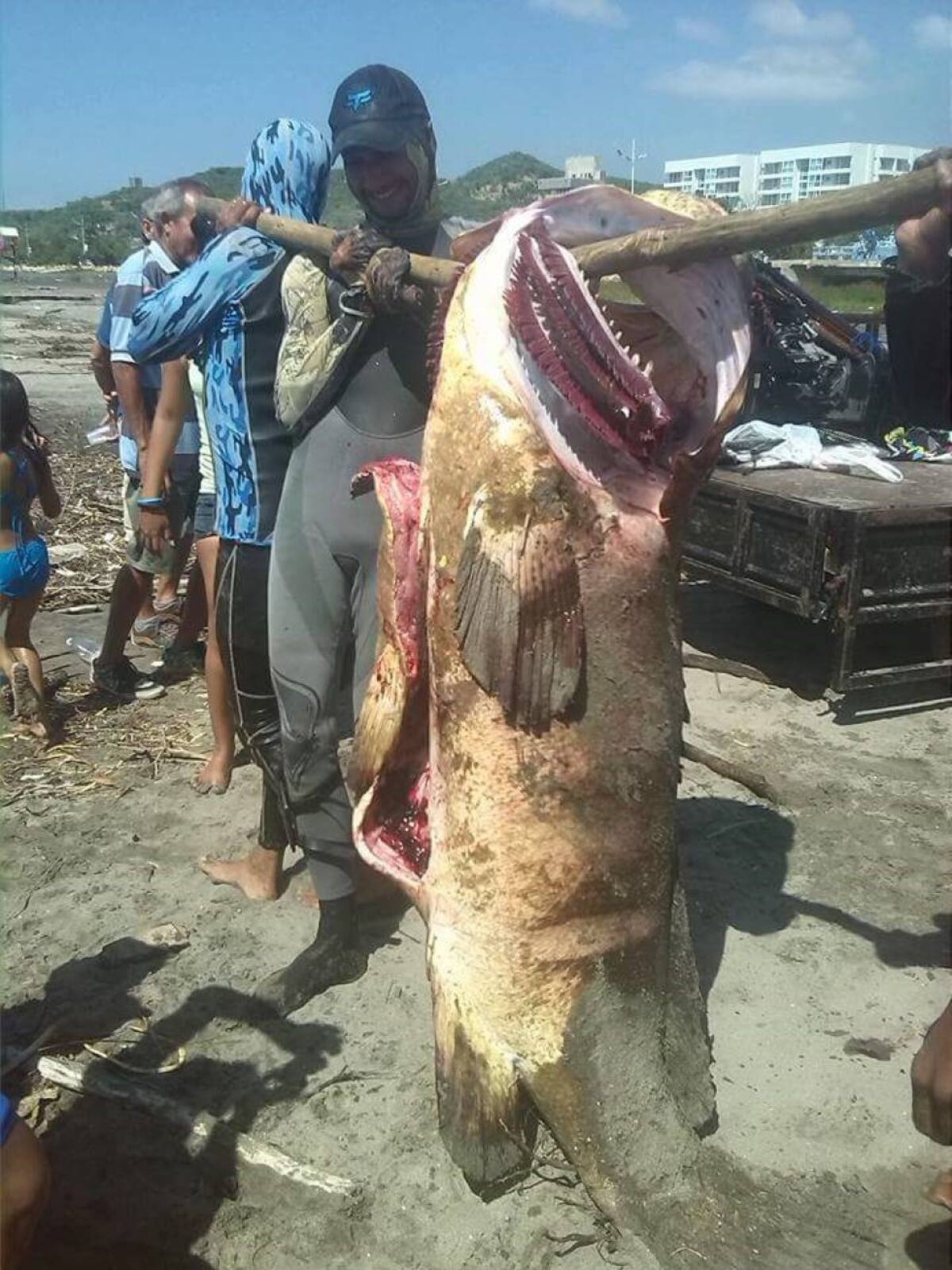 Averagerob es proveniente de Bélgica y hoy cuenta con más de 78 mil seguidores en su cuenta de Instagram.