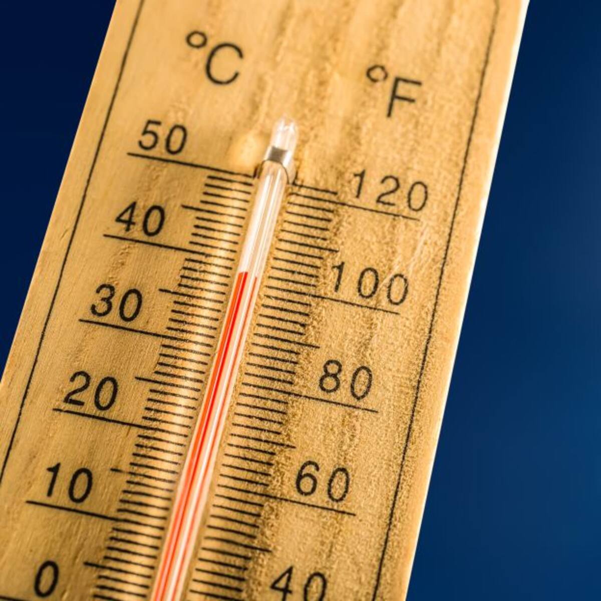 La OMS contabiliza 15.000 muertes por calor en Europa este año