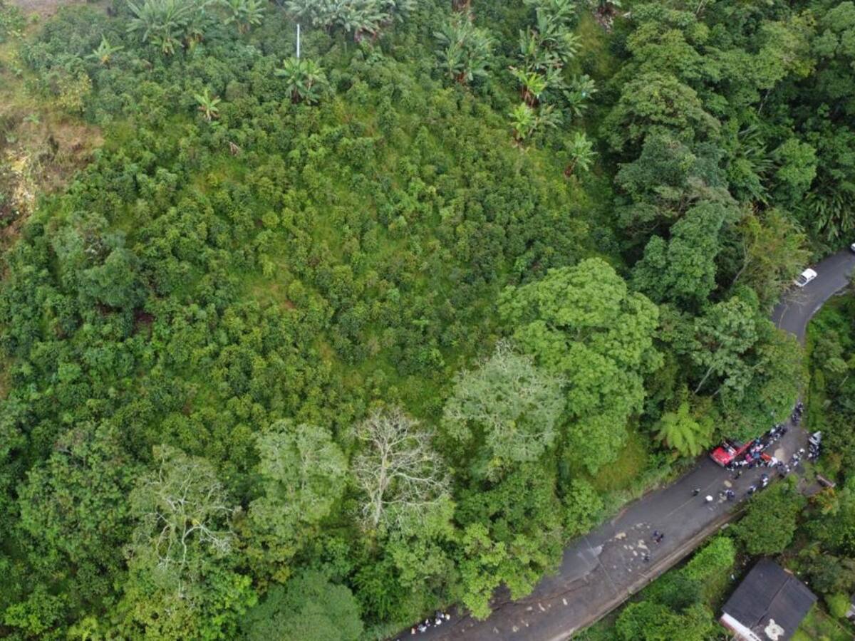 Alcalde de Marsella propone soluciones ante cierre de la vía principal