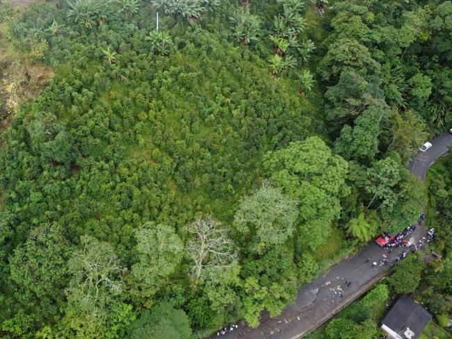 Foto suministrada: Gobernación de Risaralda