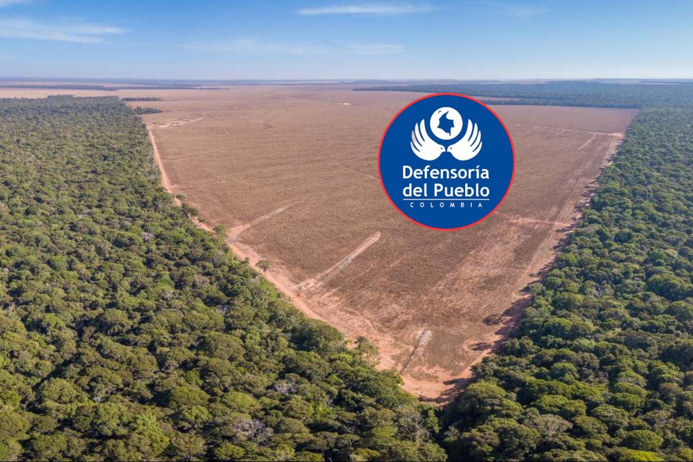 Defensoría insta al Gobierno a adoptar acciones para proteger el medioambiente  - Defensoría