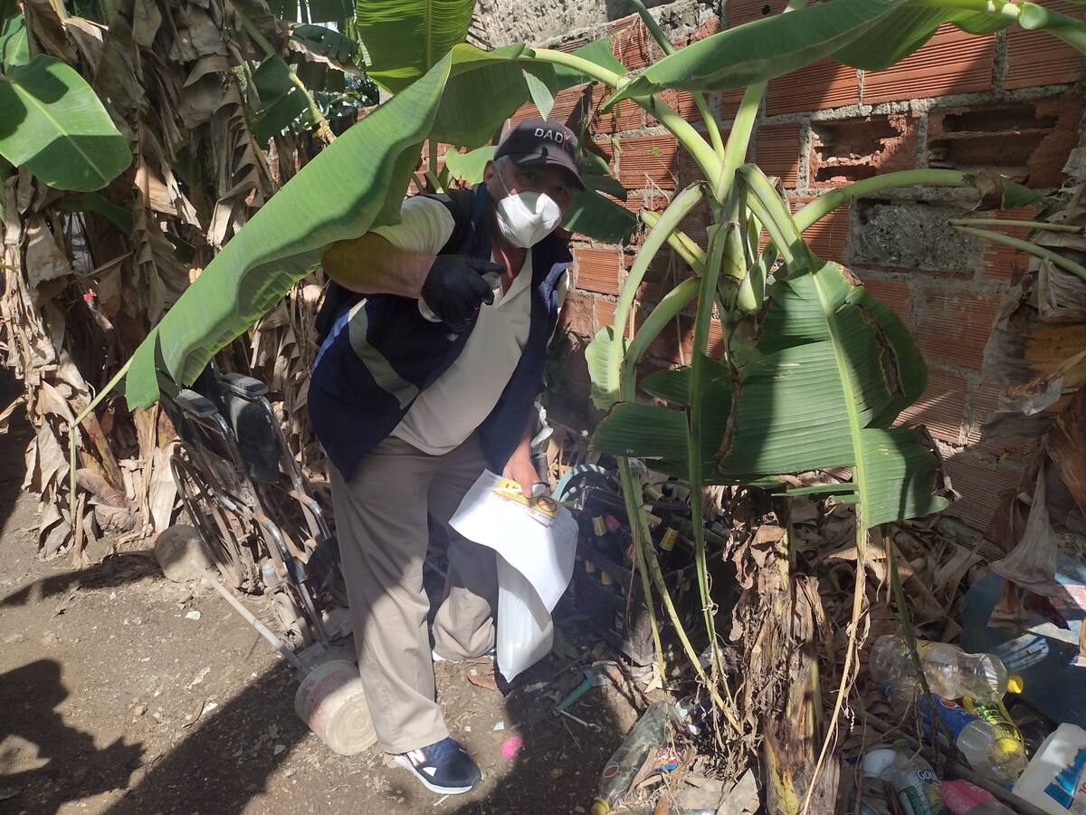 Casos de dengue subieron pero bajaron las muertes: Cartagena Cómo Vamos