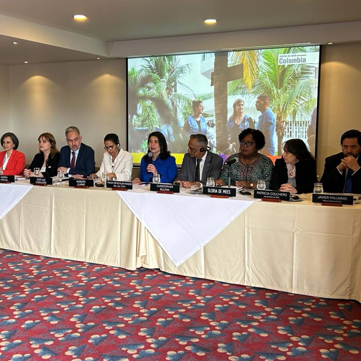 “Implementación de la paz y los nuevos diálogos no pueden ser ajenos al territorio”: CIDH