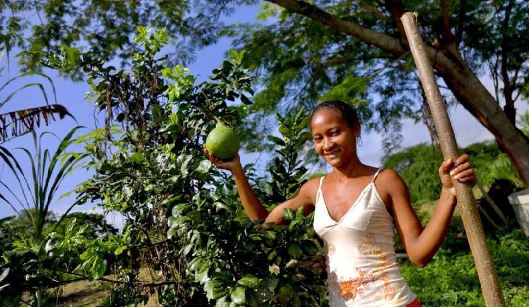 La Agencia de Tierras compró dos predios en el municipio de San Estanislao de Kostka para reubicar a esta comunidad