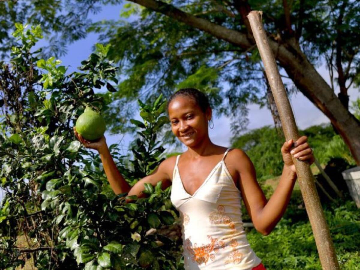 Titulación colectiva de Mango de la Púa II beneficiará a 31 familias