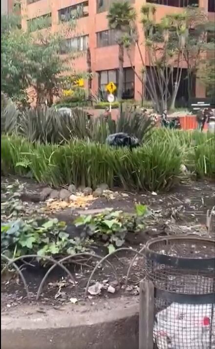 Cortesía Redes Sociales @PaoHerreraC